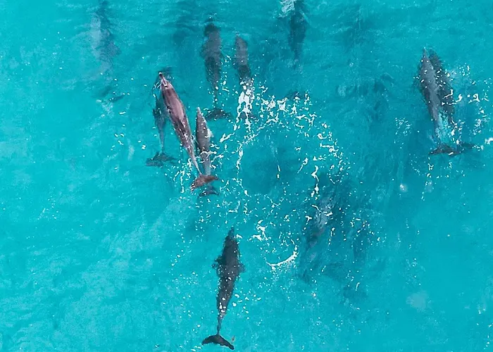 Sara & Gino's House Apartmán *