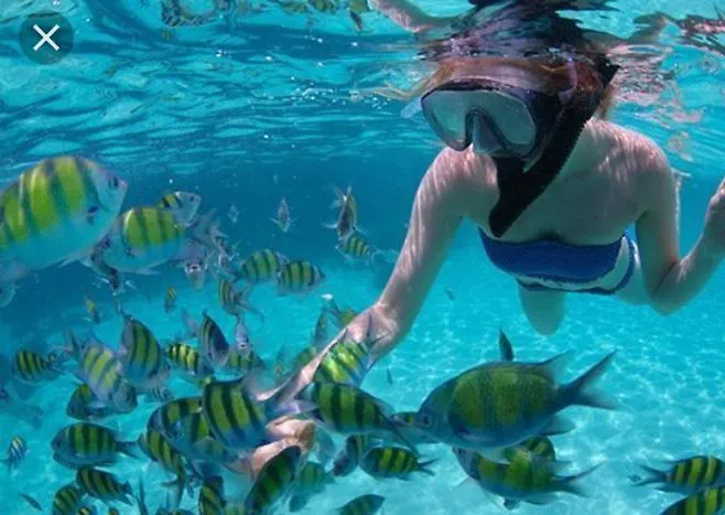 Sara & Gino's House Apartmán *