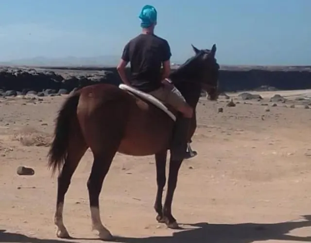 Sara & Gino's House Apartmán *