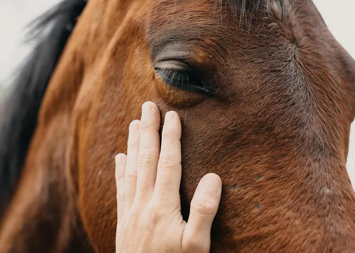 Sara & Gino's House * Corralejo