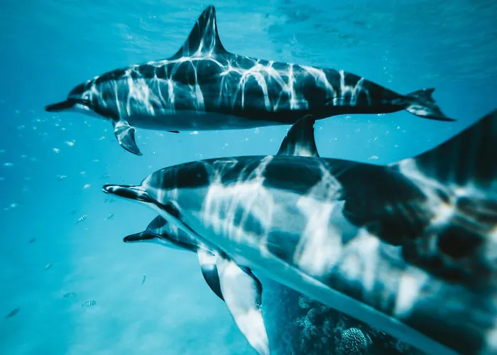 Apartmán Sara & Gino's House Corralejo