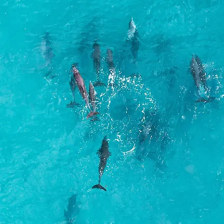 Sara & Gino's House Lejlighed *