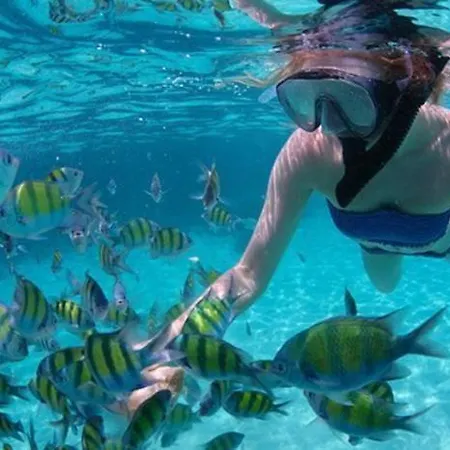 Sara & Gino's House Lejlighed *