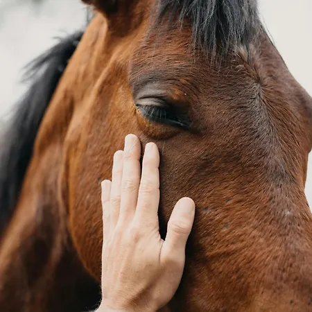 Sara & Gino's House * Corralejo